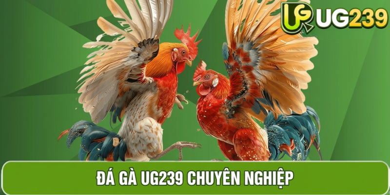 Hình ảnh sản phẩm đá gà