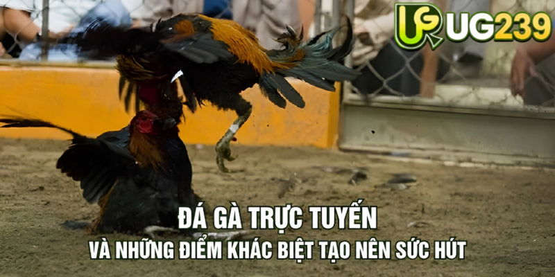 Tin tức