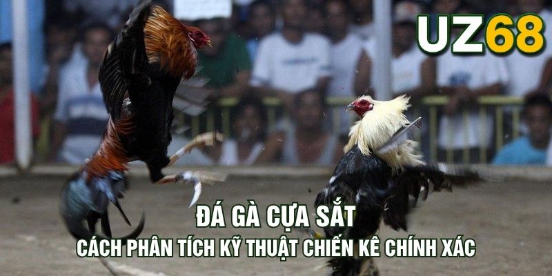 Tin tức