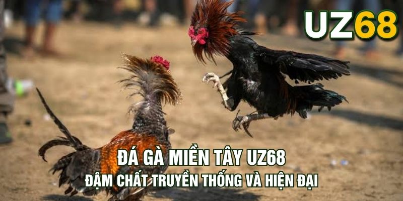 Tin tức