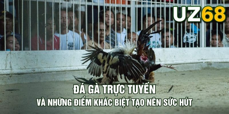Tin tức