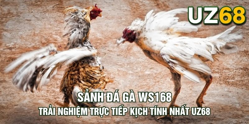 Tin tức