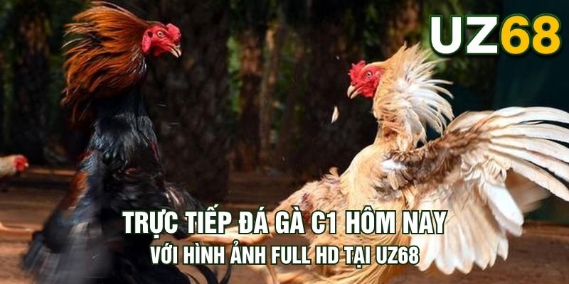 Tin tức